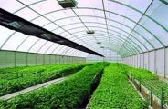 Farmers left out of grants in bhilwara