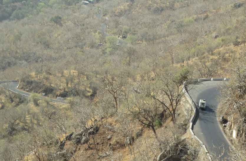 sirohi
