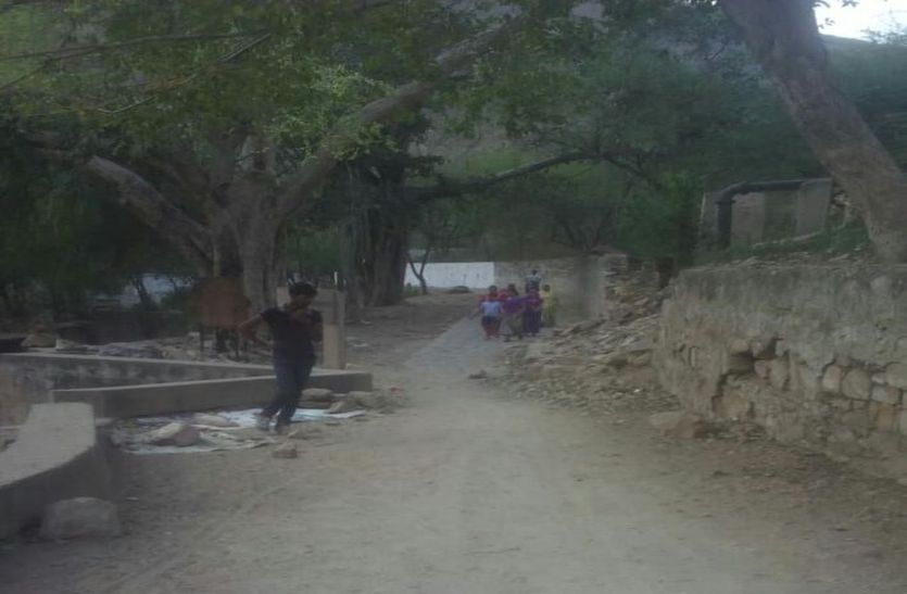 Panther on the way to karni Mata
