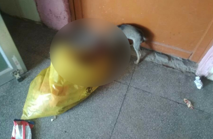 Dead newborn baby