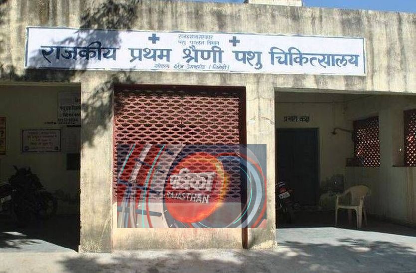 sirohi
