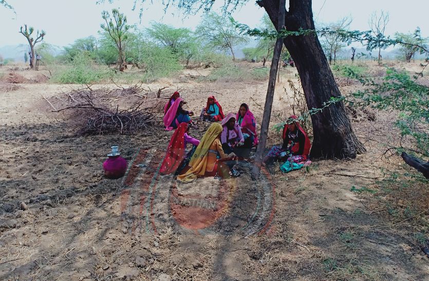 sirohi