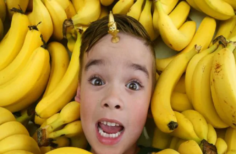 seven year old boy of sydney used his mums credit card to purchase toy