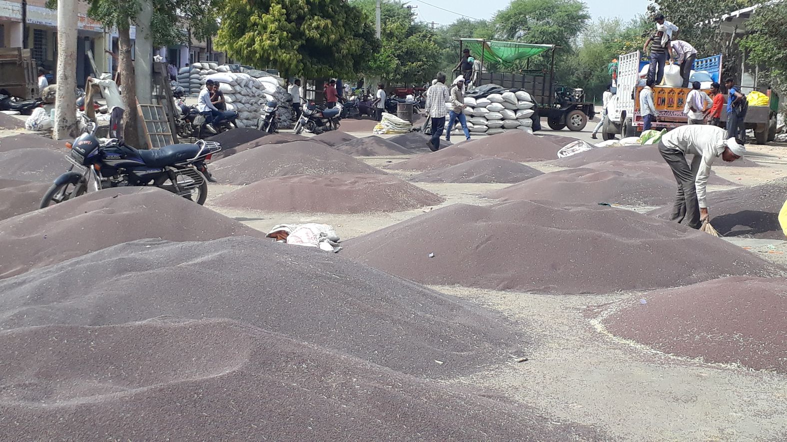hindaun karauli news