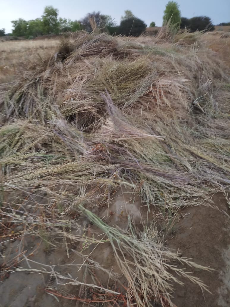 water-on-the-dreams-of-fera-farmers