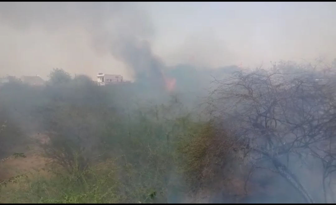 Fire in the field