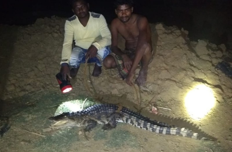 कोटमीसोनार में तीन करोड़ की लागत से देश का दूसरे नंबर का क्रोकाडायल पार्क