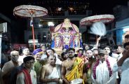 Lord Venugopal celebrate Holi with devotees