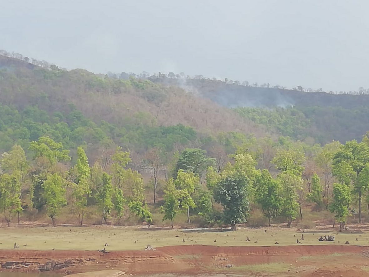 Dangerous fire in the forest of Karanjia region