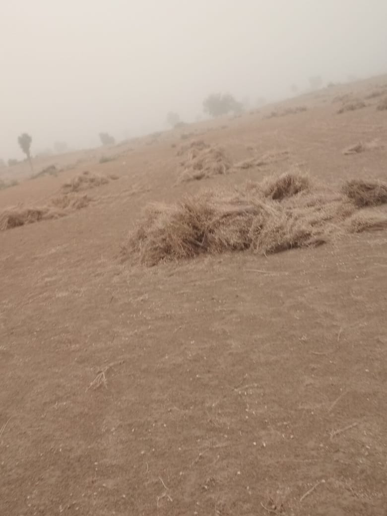 change weather in bikaner