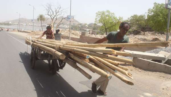 pics of summer seasion