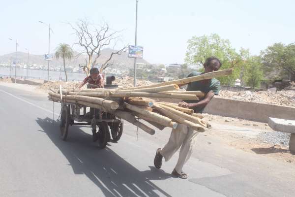 pics of summer seasion