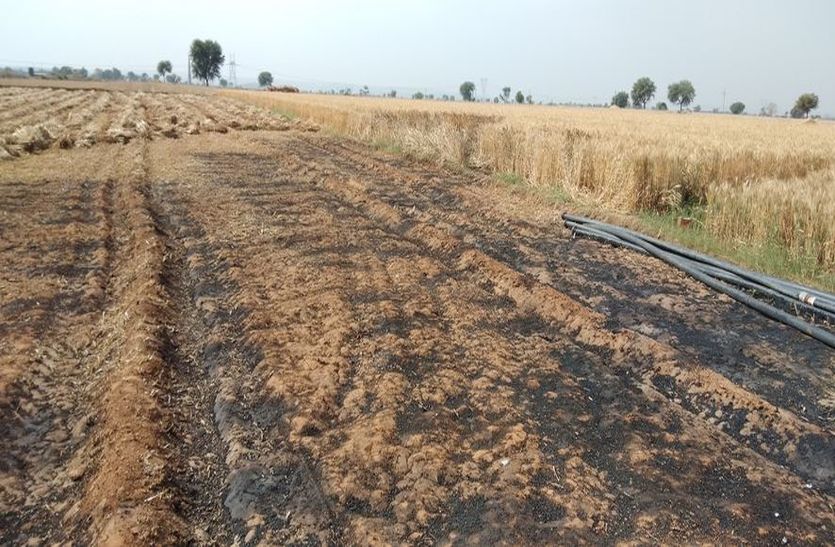 karauli