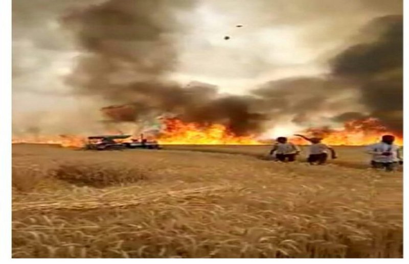 देखते रह गए किसान, 91 एकड़ में लगी गेहूं की फसल जलकर खाक