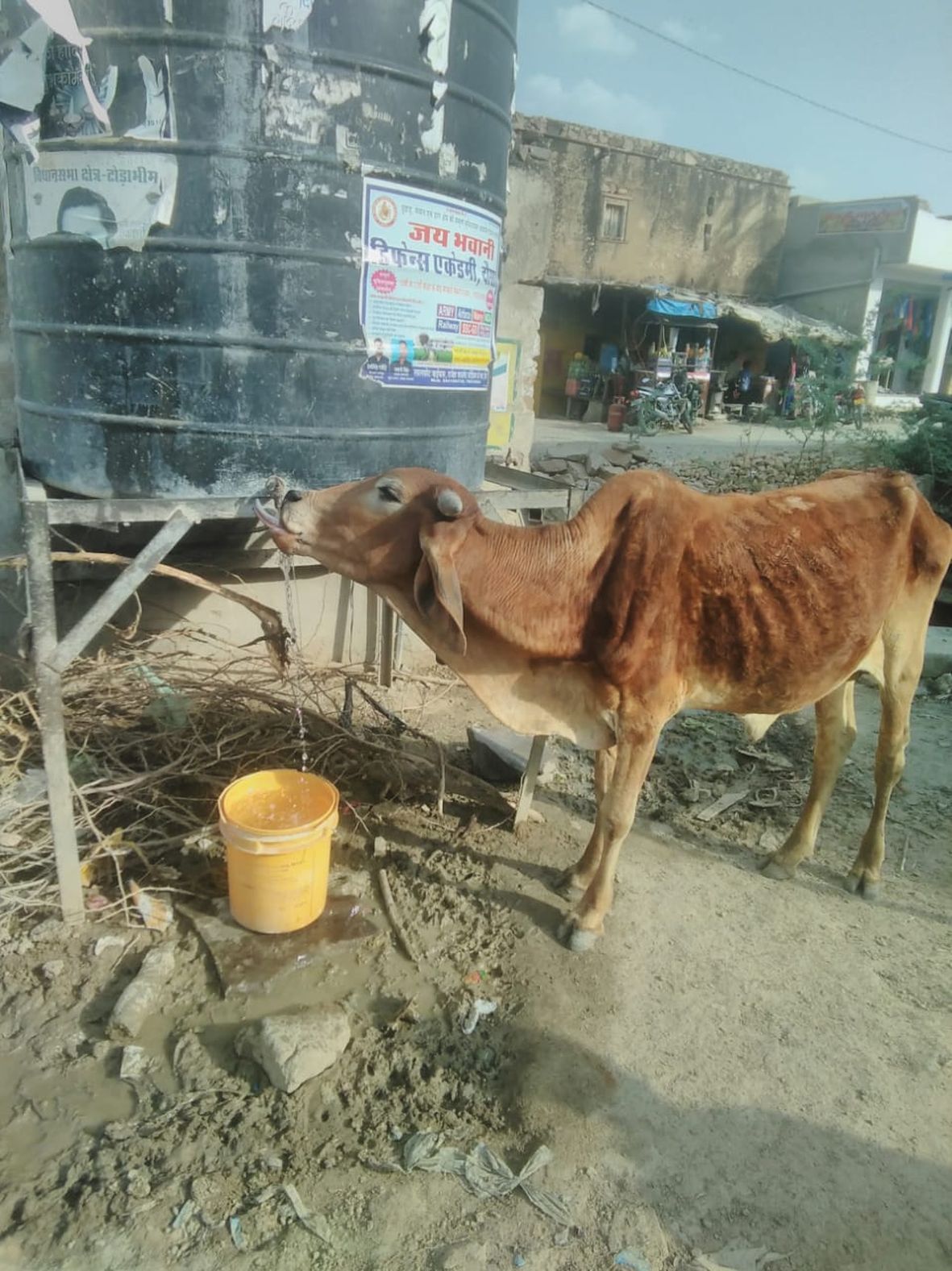 karauli
