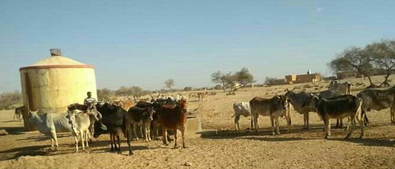 jaisalmer