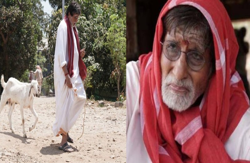 शाहरुख संग 'तू तू मैं मैं' के बाद अब बकरी चराते दिखे अमिताभ बच्चन, पहन रखी थी लूंगी और...