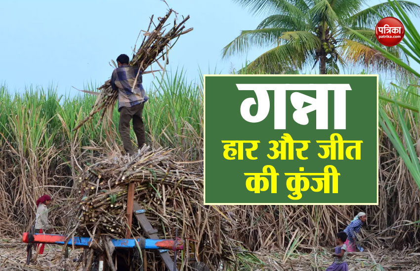 sugarcane farmers