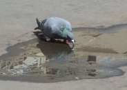 save water