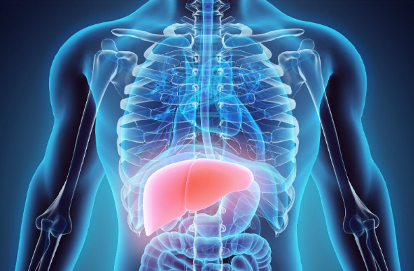 hepatitis-b-is-lethal-for-liver