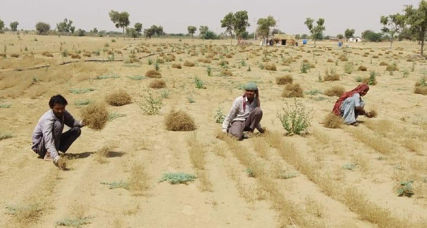 jaisalmer