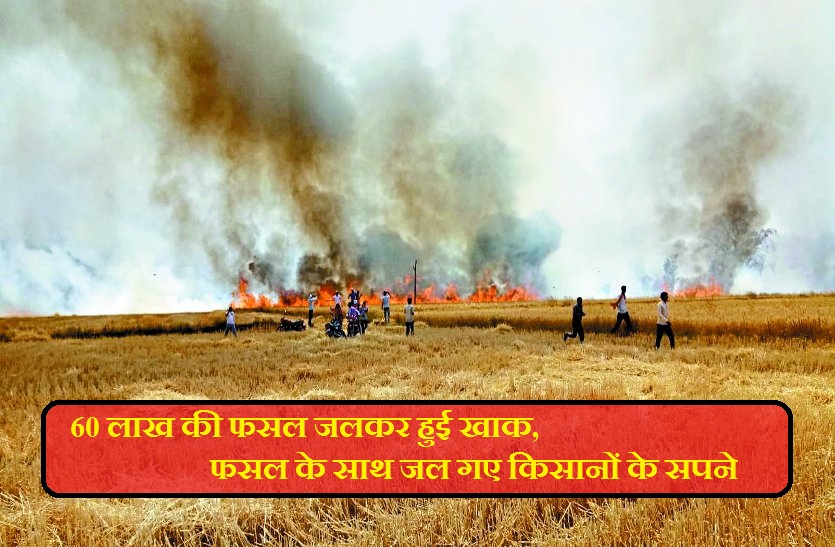 fire in sheopur district 234 beegha crop of wheat