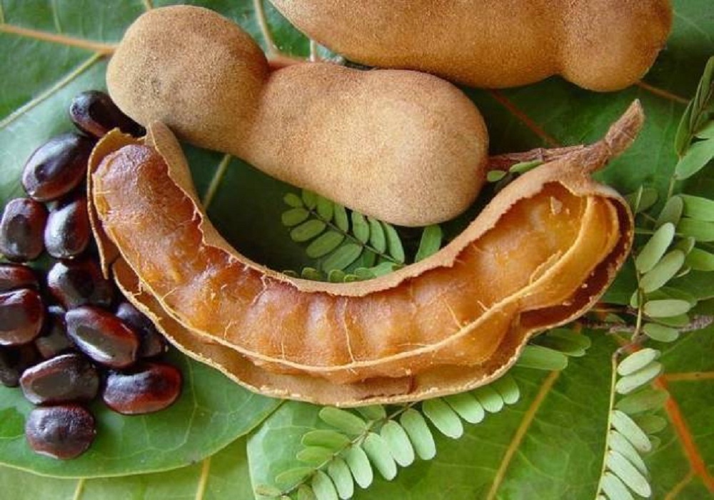 tamarind