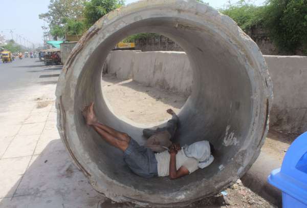 beautiful pics of summer in ajmer