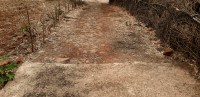 Lack of rupees was made by the incomplete road