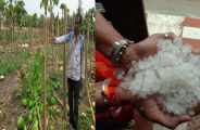 rain in bhilwara