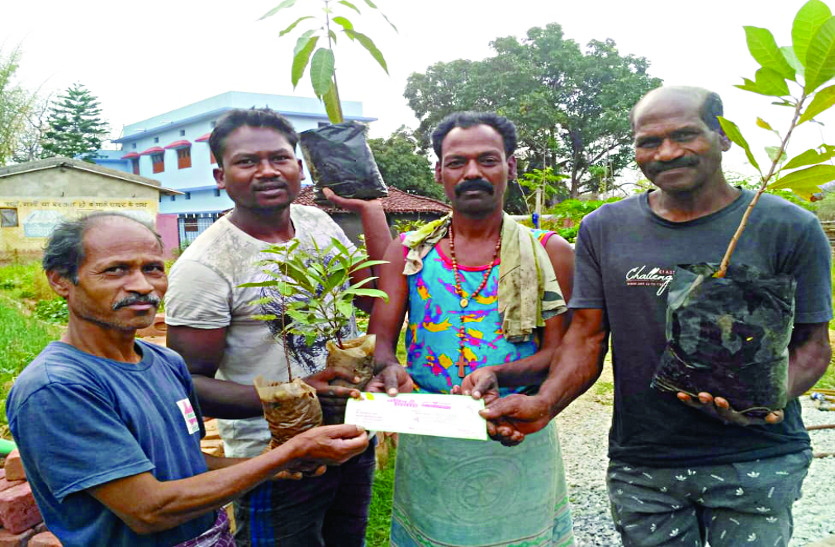 Chhattisgarh Unique Story: Plant distribution with invitation card