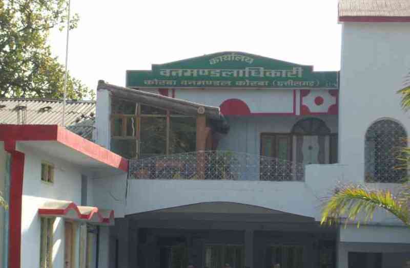 दो महीने में भालू के १० हमले, हर बार इसी सीजन में बढ़ते हैं हमले