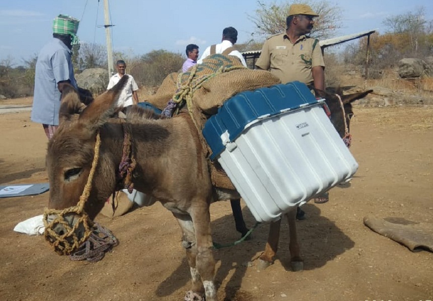Election materials carrying donkeys for 40 years