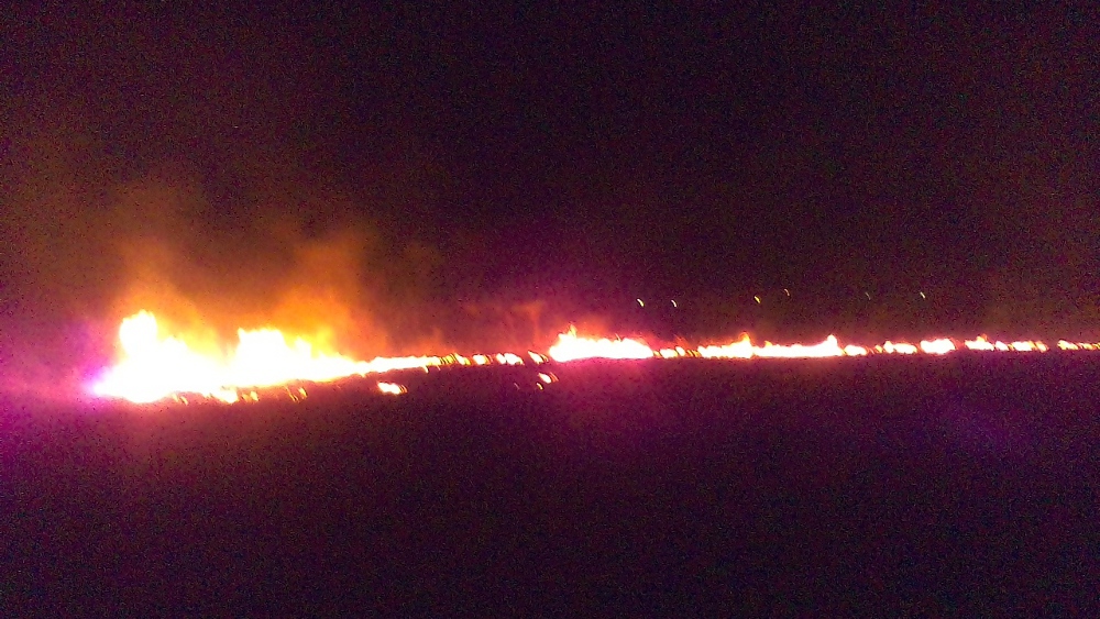 15 acres of cane burn
