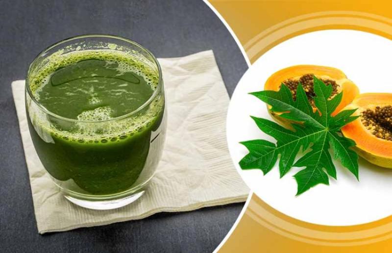 papaya leaf juice
