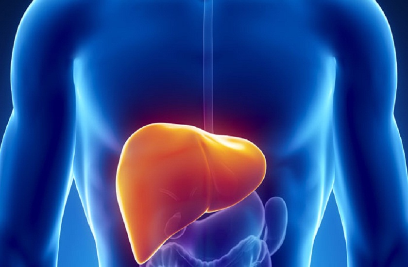 World Liver Day: लिवर की बीमारी होती है घातक, वजन ज्यादा होने पर बढ़ सकती है दिक्कत
