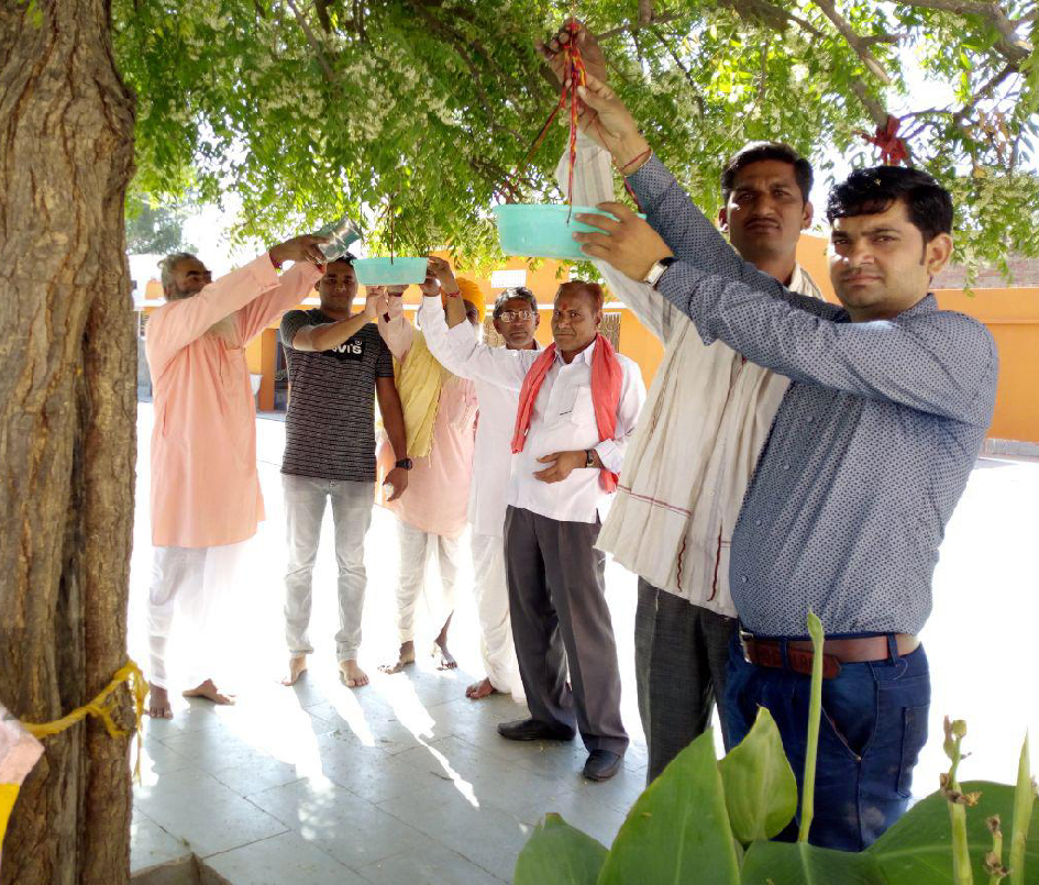 bejubaanon ke lie baandhe parinde, daana daalane ka liya sankalp
