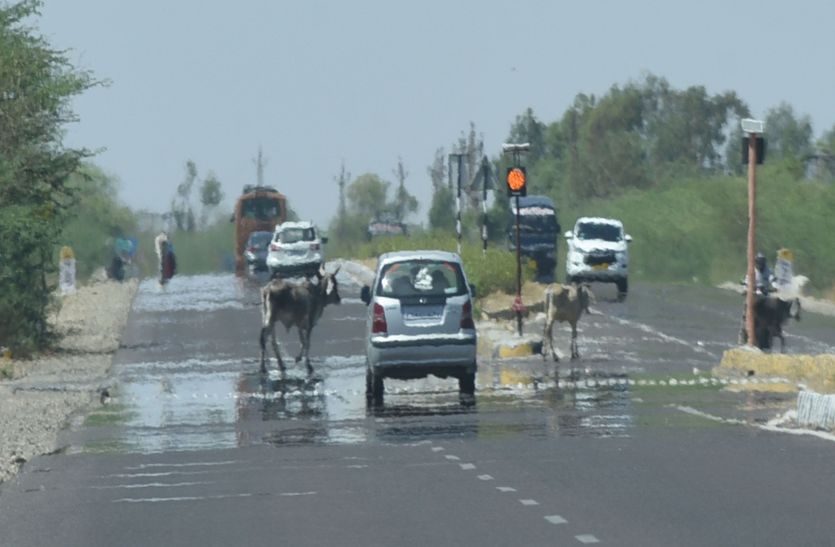 Temperature increased in Jodhpur