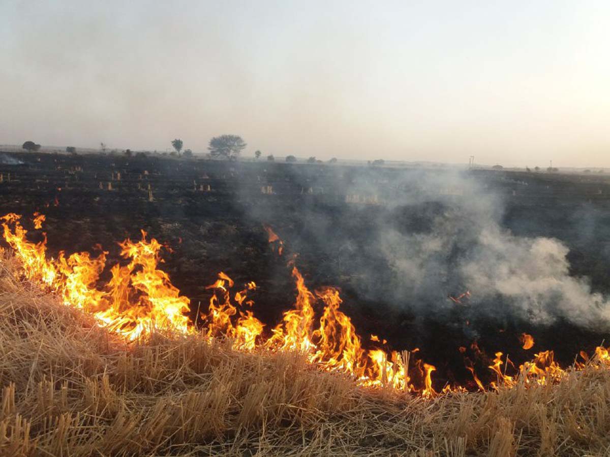 BIG NEWS : पनवाड़ क्षेत्र आग का तांडव, 400 बीघा फसल नष्ट ,किसानों के अरमानों फिरा पानी