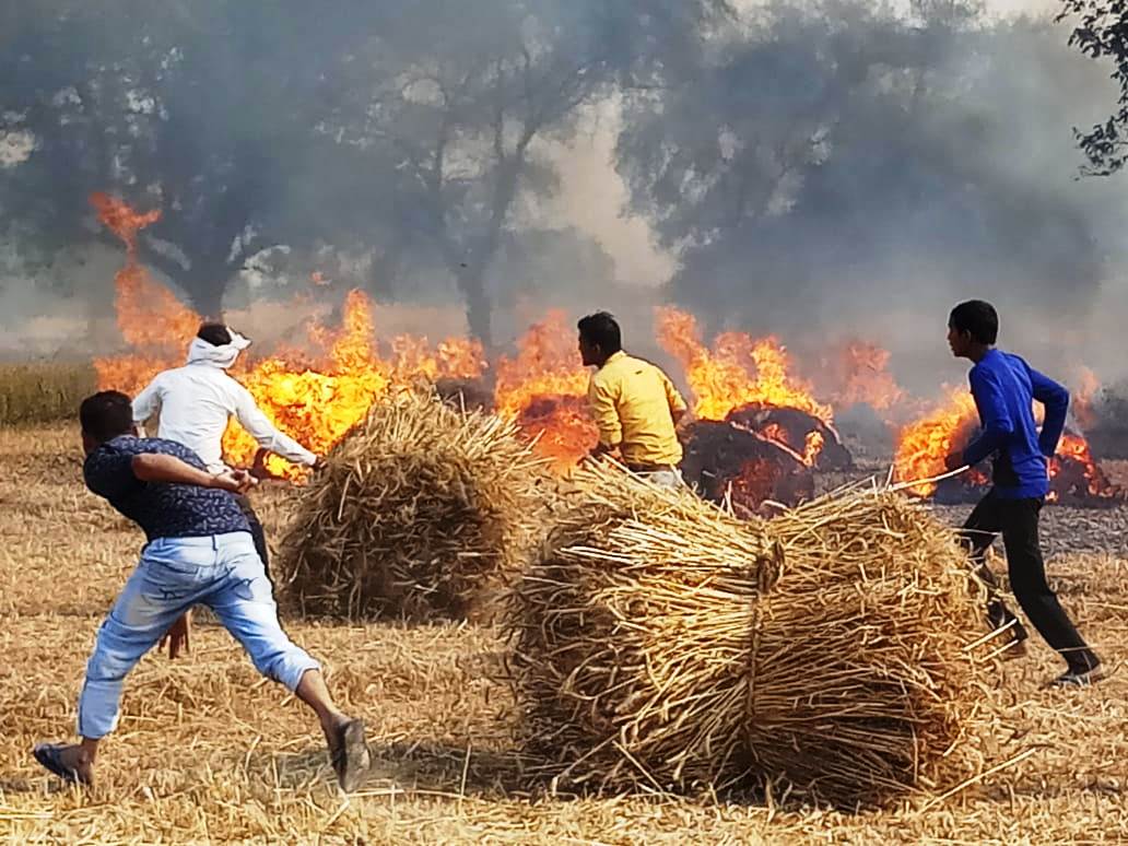 fire caught in wheat crop field at two villages of sachendi in kanpur