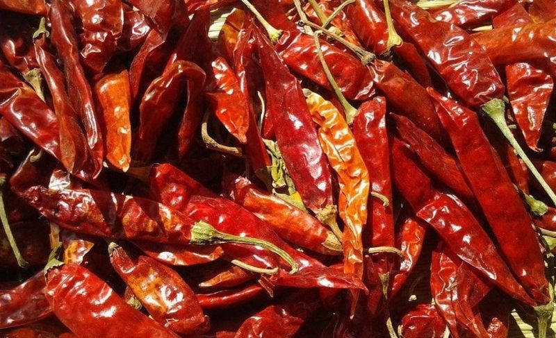 red chilli