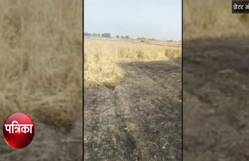 VIDEO: खड़ी फसल पर गिरी हाई टेंशन लाइन से चिंगारी, जलकर हुई खाक