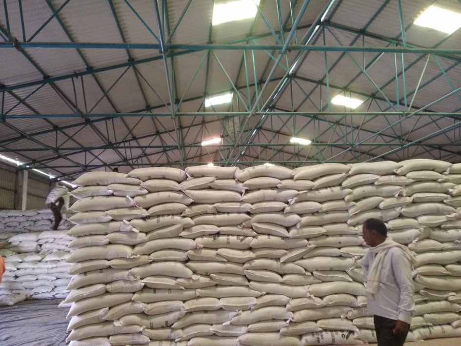 The standard in the warehouse is not complete, the crores of wheat kept, news in hindi, mp news, datia news