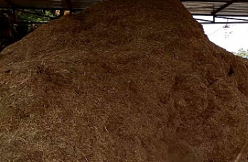 Asman touching sense, lack of fodder