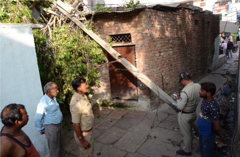 People survivors from falling trees at home