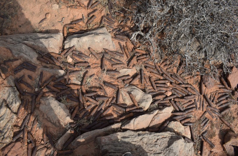 dholpur news dholpur