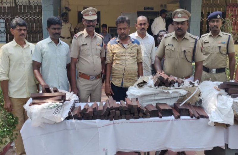 Caught 260 kg of red sandalwood sent to Delhi