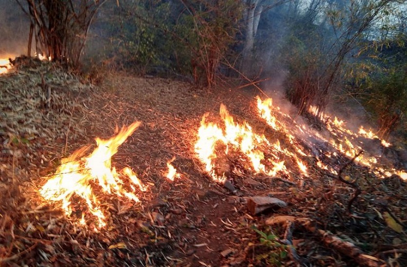 ATR: Fire in the forest of Chechnadi, continuously increasing flames