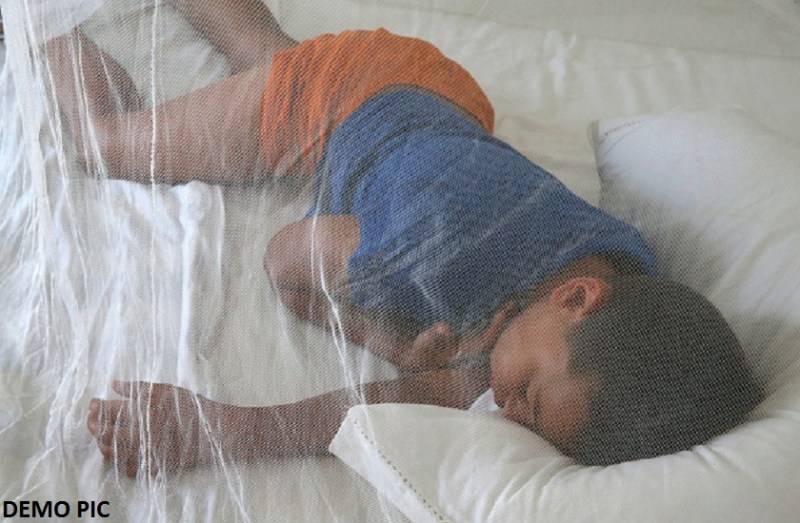 this new type of bed net could help fight against malaria