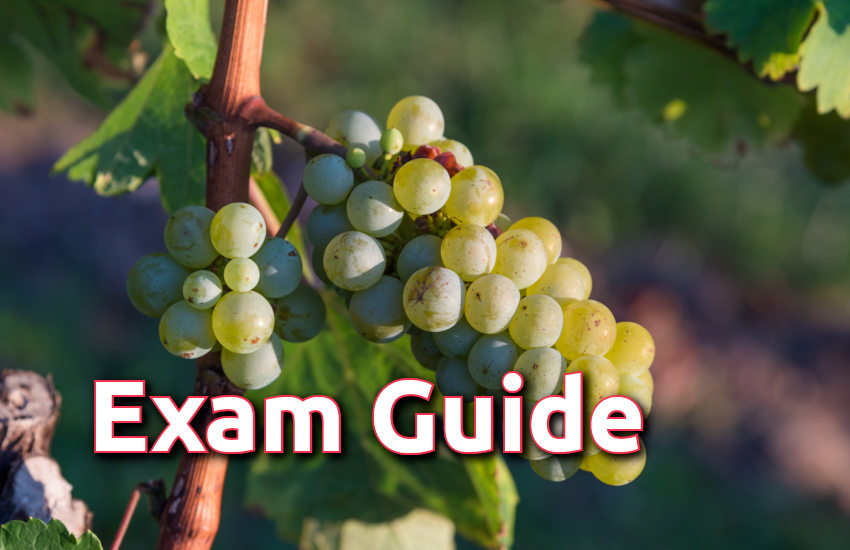 Education,interview,exam,online test,rojgar samachar,interview tips,online exam,Mock Test,general knowledge,GK,interview questions,jobs in hindi,rojgar,competition exam,mock test paper,sarkari job,questions Answers,GK mock test,